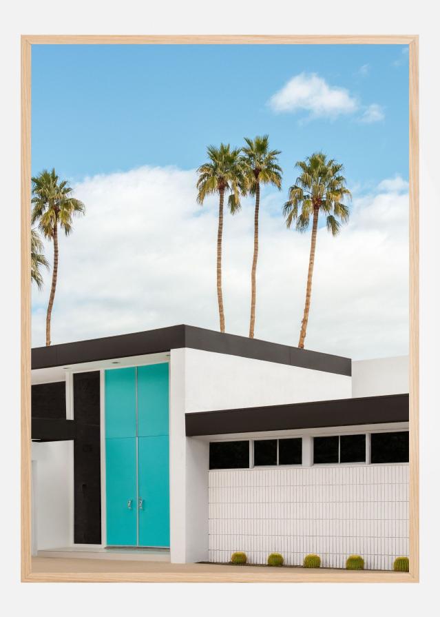 Turquoise Blue Doors on a Modern Home Plakát