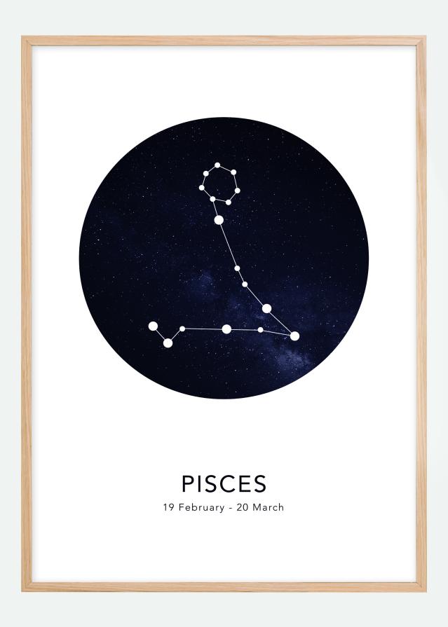 Pisces Plakát