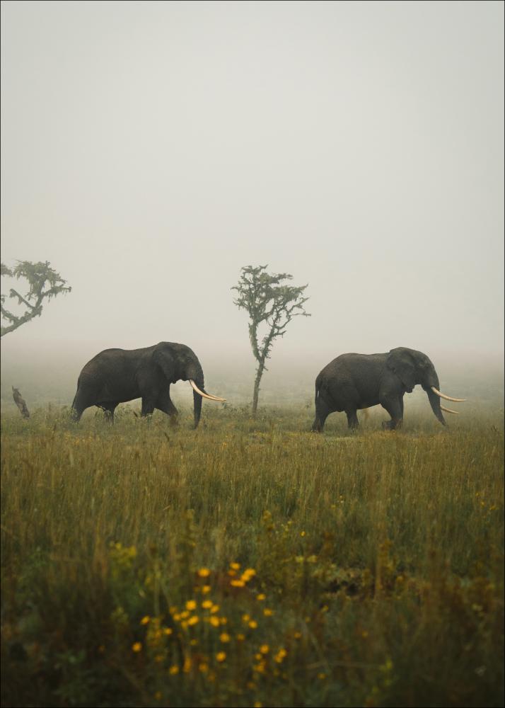 Elephant Walk Plakát