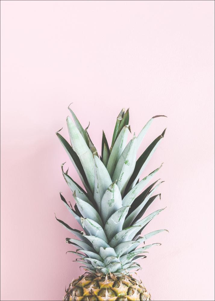 Pineapple Pink Plakát