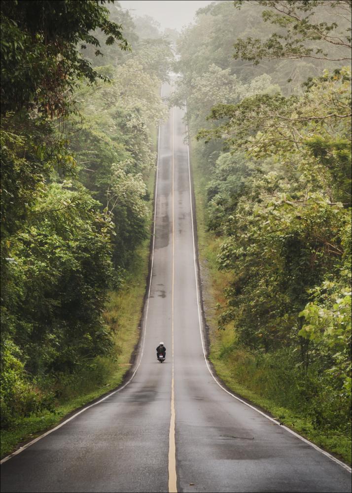 Road Plakát