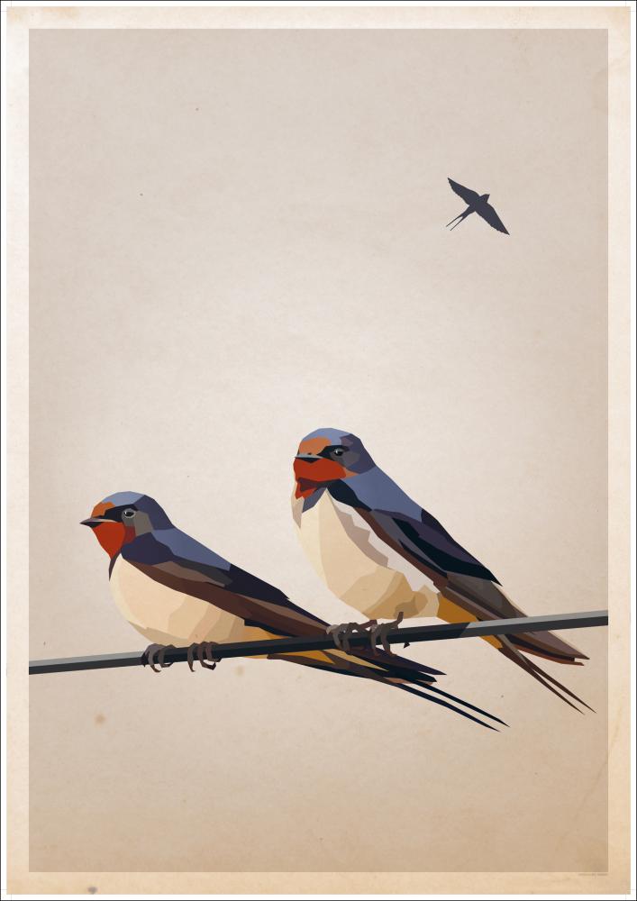 Swallows Plakát