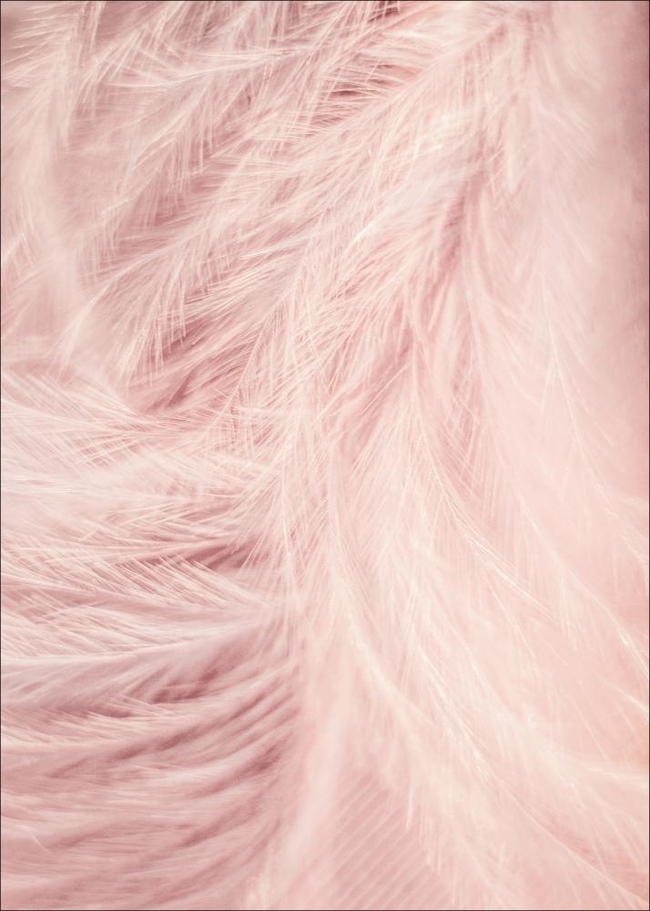 Pink Feathers Plakát