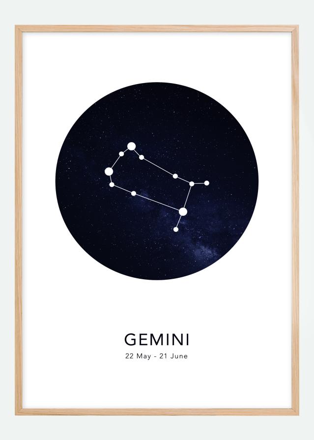 Gemini Plakát