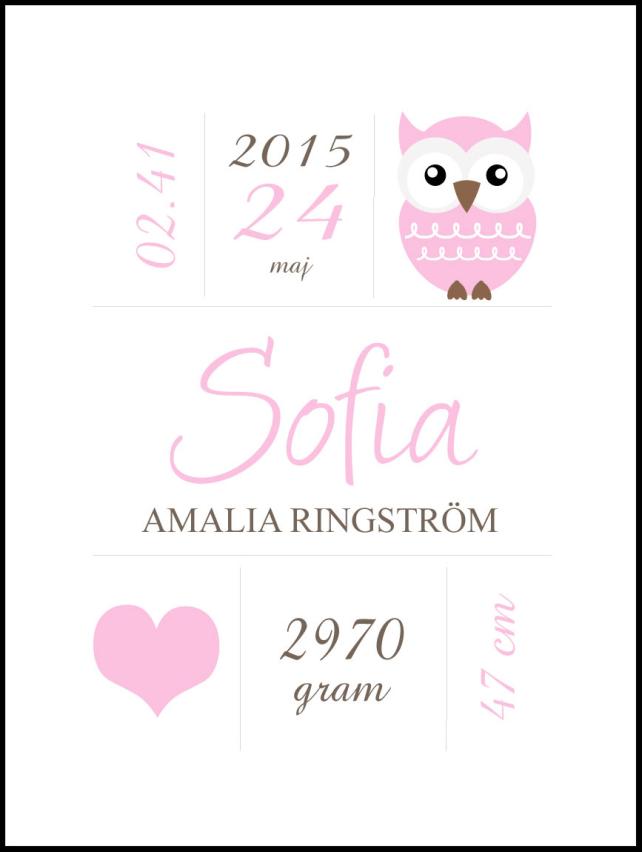 Owl Birth Plakát Pink