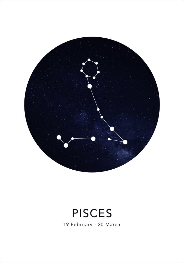 Pisces Plakát