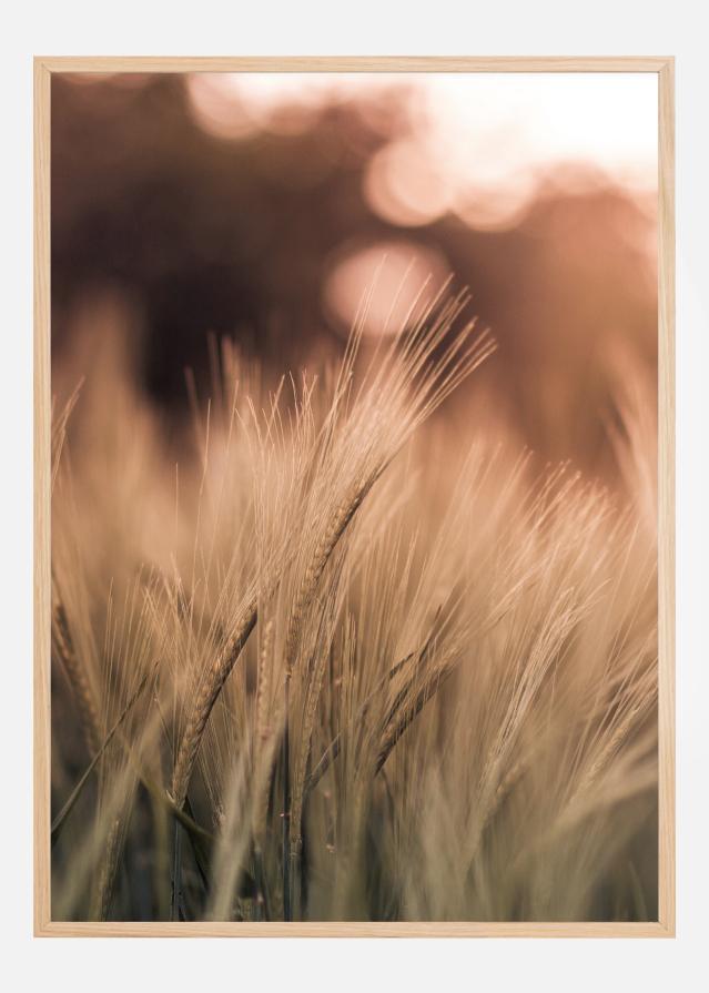 Wheat Fields I Plakát