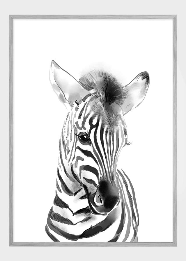 Zebra Watercolor Plakát