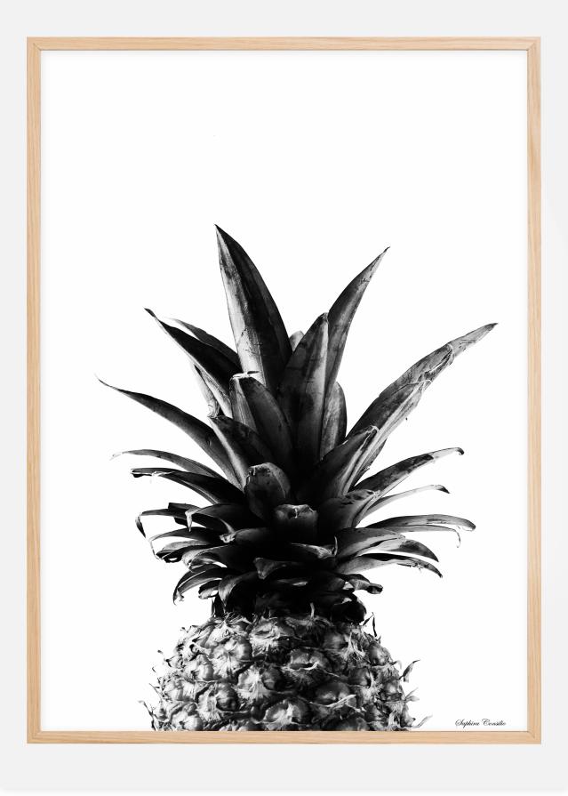 Pineapple B&W Plakát