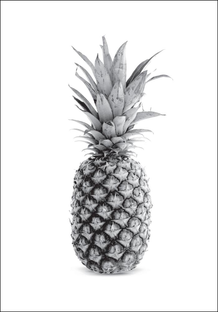 Pineapple Grey Plakát