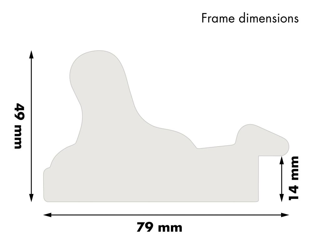 Rám Gysinge Premium Stríbrná 20x60 cm