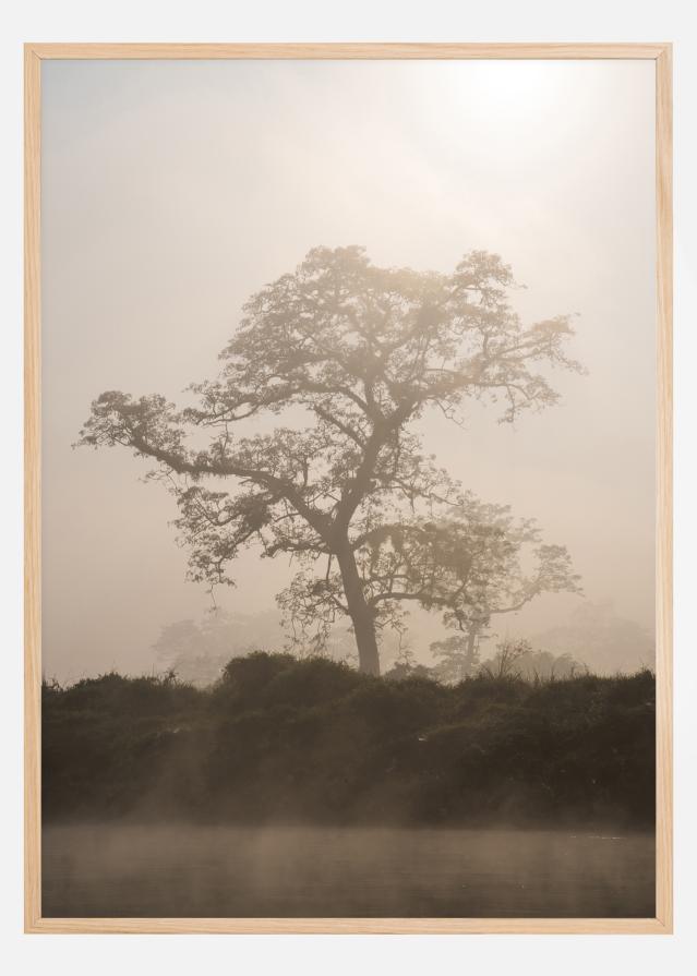 Misty Tree Plakát