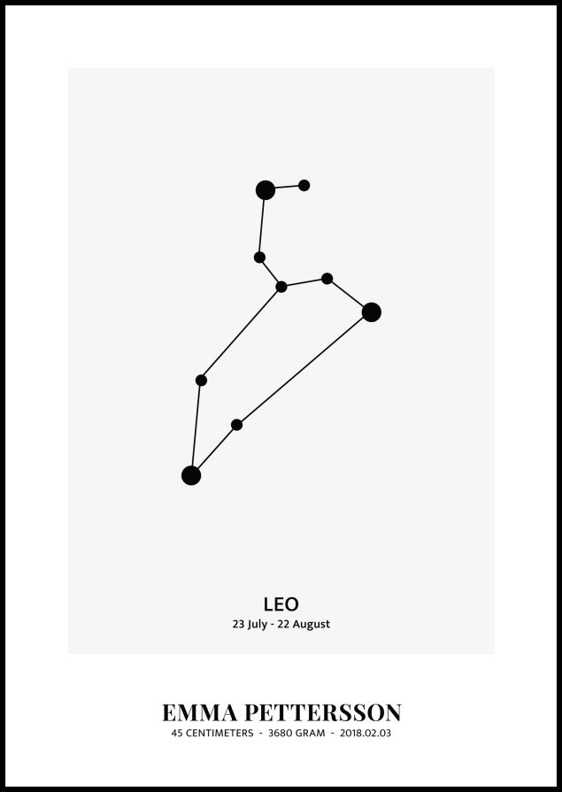 Leo - Znamení zverokruhu