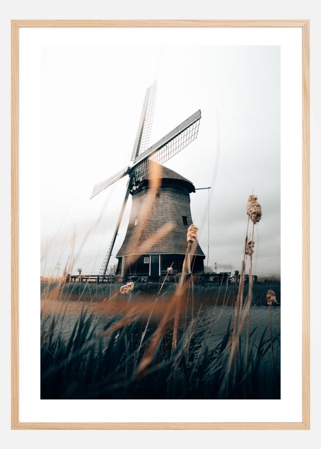 Dutch Windmill Plakát