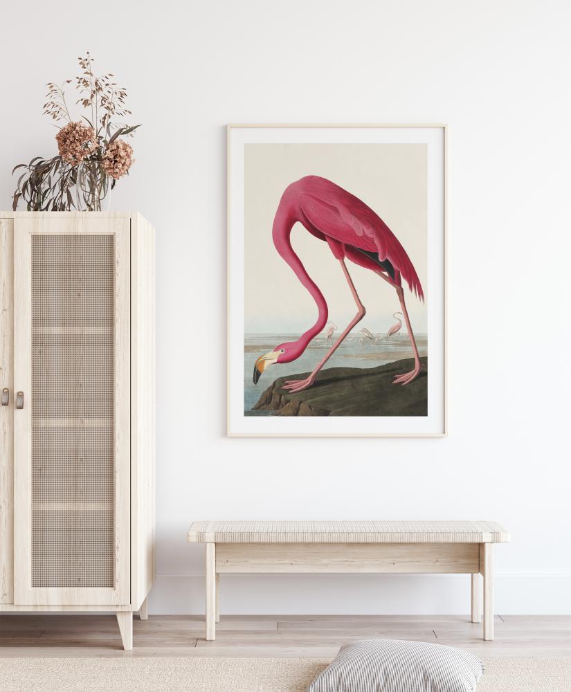 American Flamingo Plakát