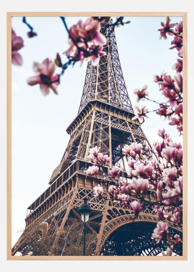 Eiffel Tower Blossoms Plakát