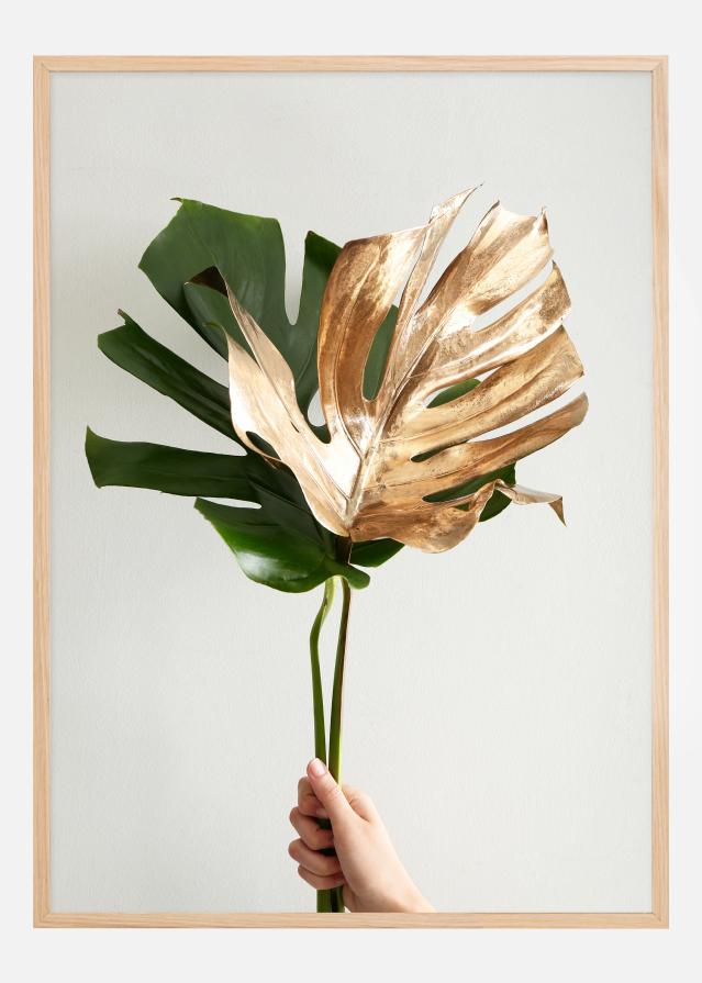 Golden monstera Plakát