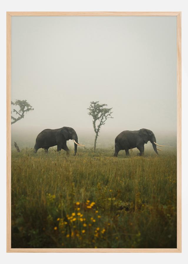 Elephant Walk Plakát