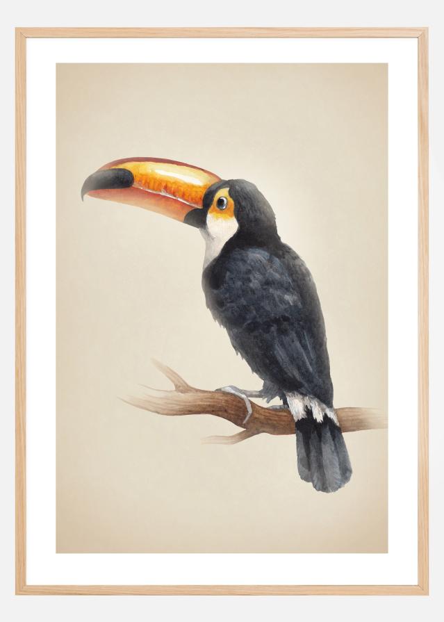 Tropical Toucan Plakát