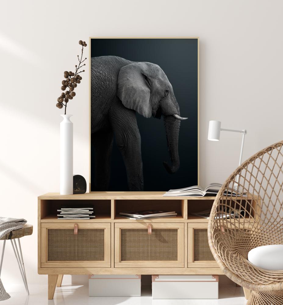 Namibian Elephant Plakát