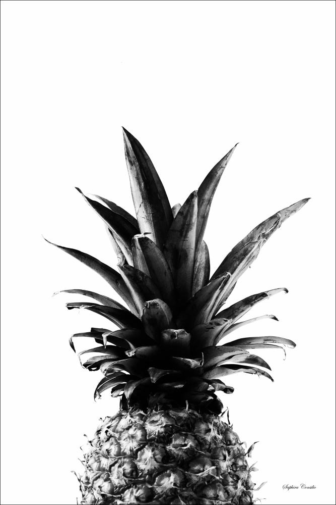 Pineapple B&W Plakát