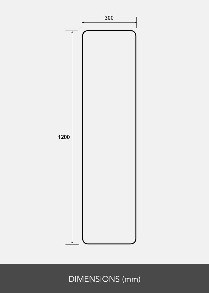 Zrcadlo Rectangle L 30x120 cm