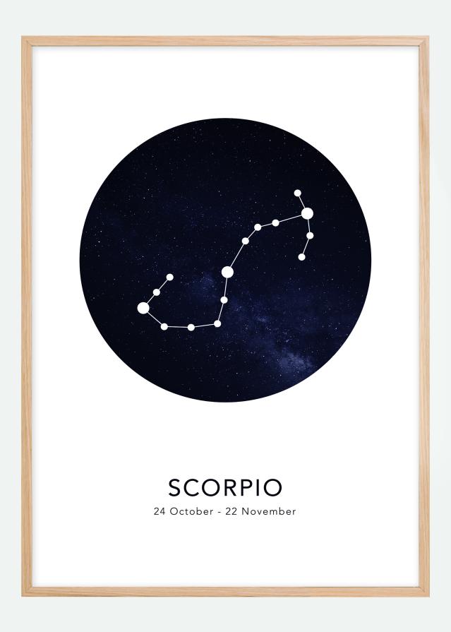 Scorpio Plakát