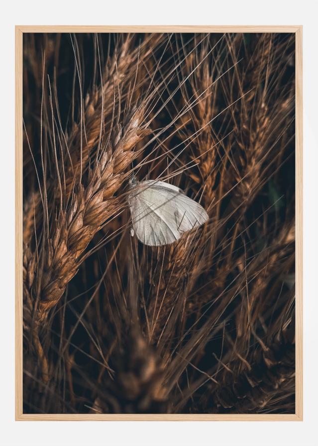 White Butterfly Plakát