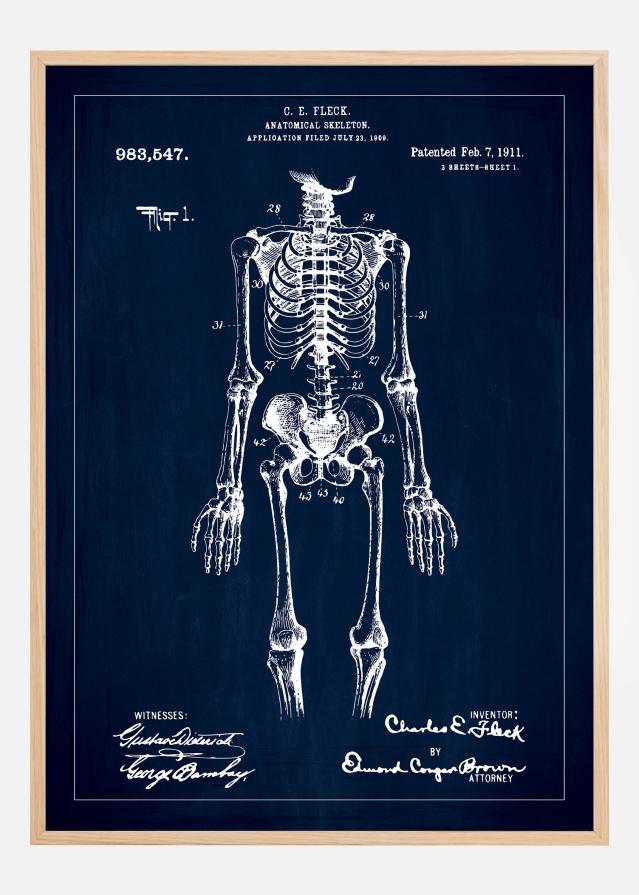 Patentový výkres - Anatomické kostra v - Modrá Plakát