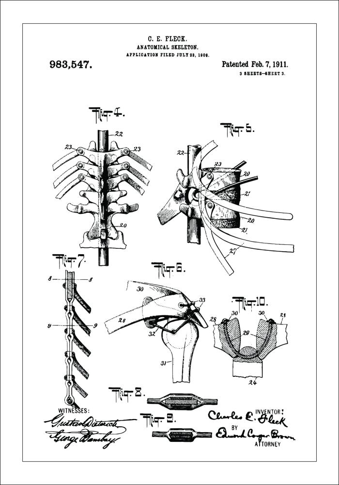 Patentový výkres - Anatomické kostra III Plakát